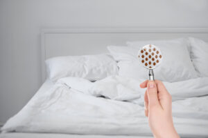Bed Bug Removal
