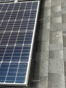 Canadian Solar Panel Bird Proofing and Cleaning Specialists