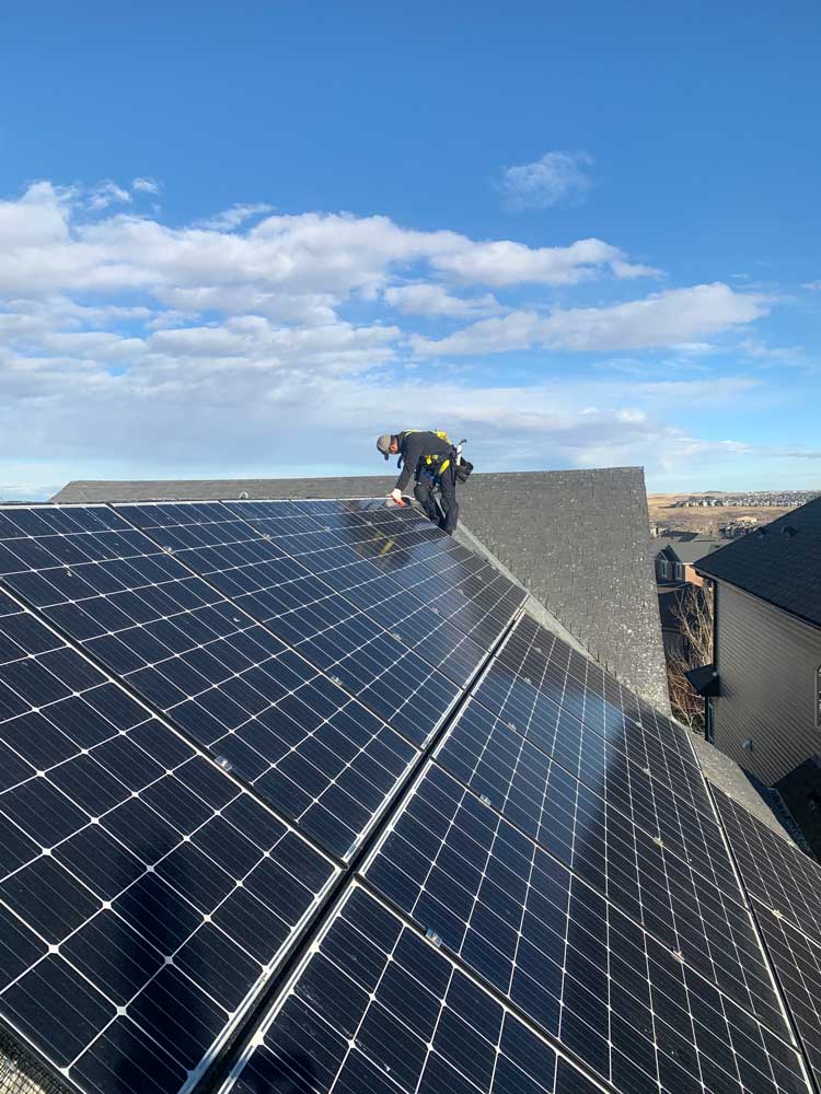 Canadian Solar Panel Bird Proofing and Cleaning Specialists