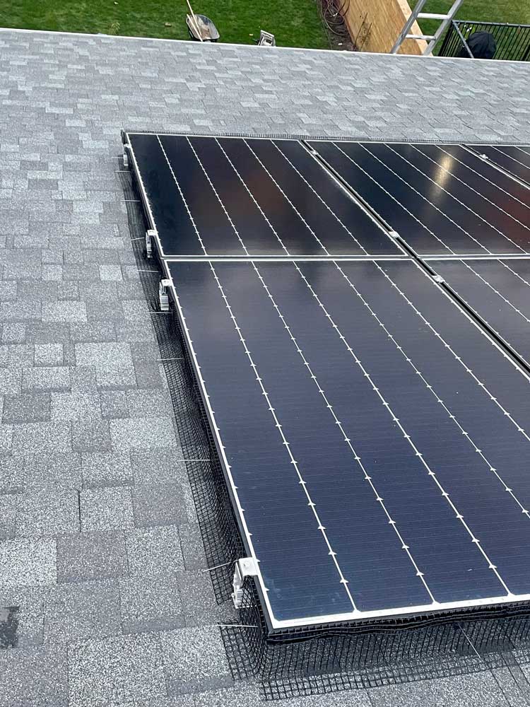 Canadian Solar Panel Bird Proofing and Cleaning Specialists