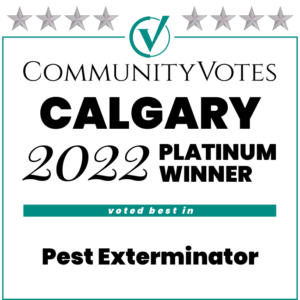 Calgary's Best Pest Exterminator